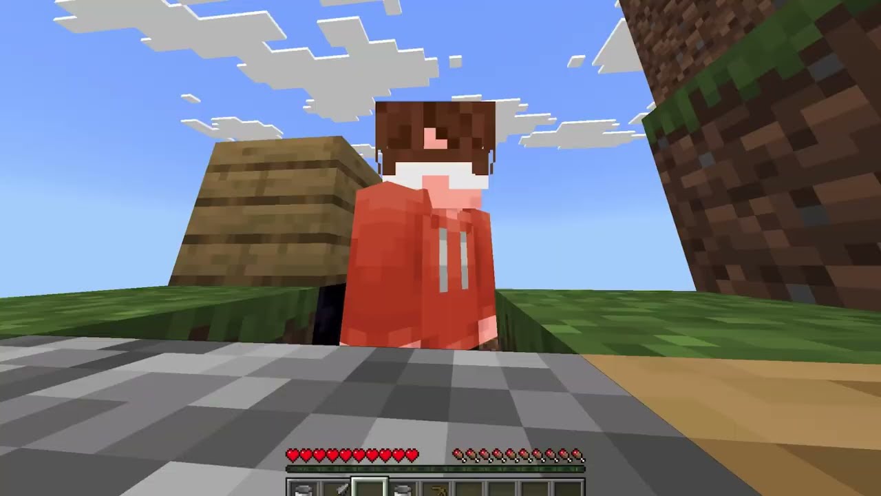 Minecraft but I’m on a mini chunk island