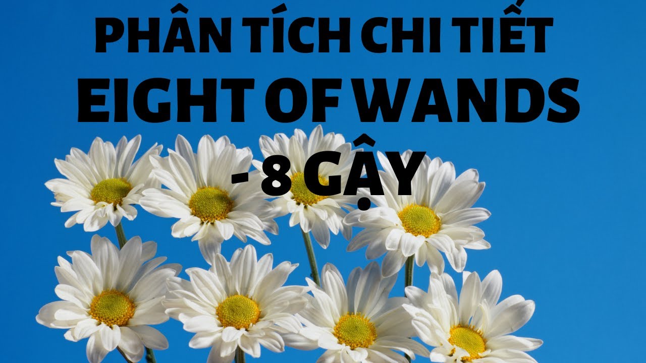 TỰ HỌC TAROT - Eight of Wands/8 Gậy - Hướng Dẫn Chi Tiết