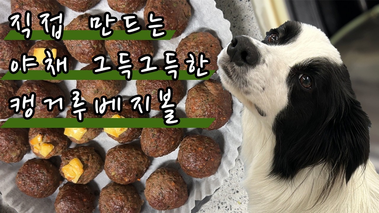 배터질만큼 먹게 해줄라고 직접 만드는 야채 그득그득한 캥거루 베지볼 만들기 | 요리 똥손이 만드는 강아지 갴거루베지볼 | #보더콜리 #캥거루베지볼 #수제간식만들기