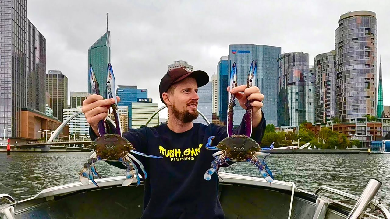 XL Swan River Crabs in the Perth CBD