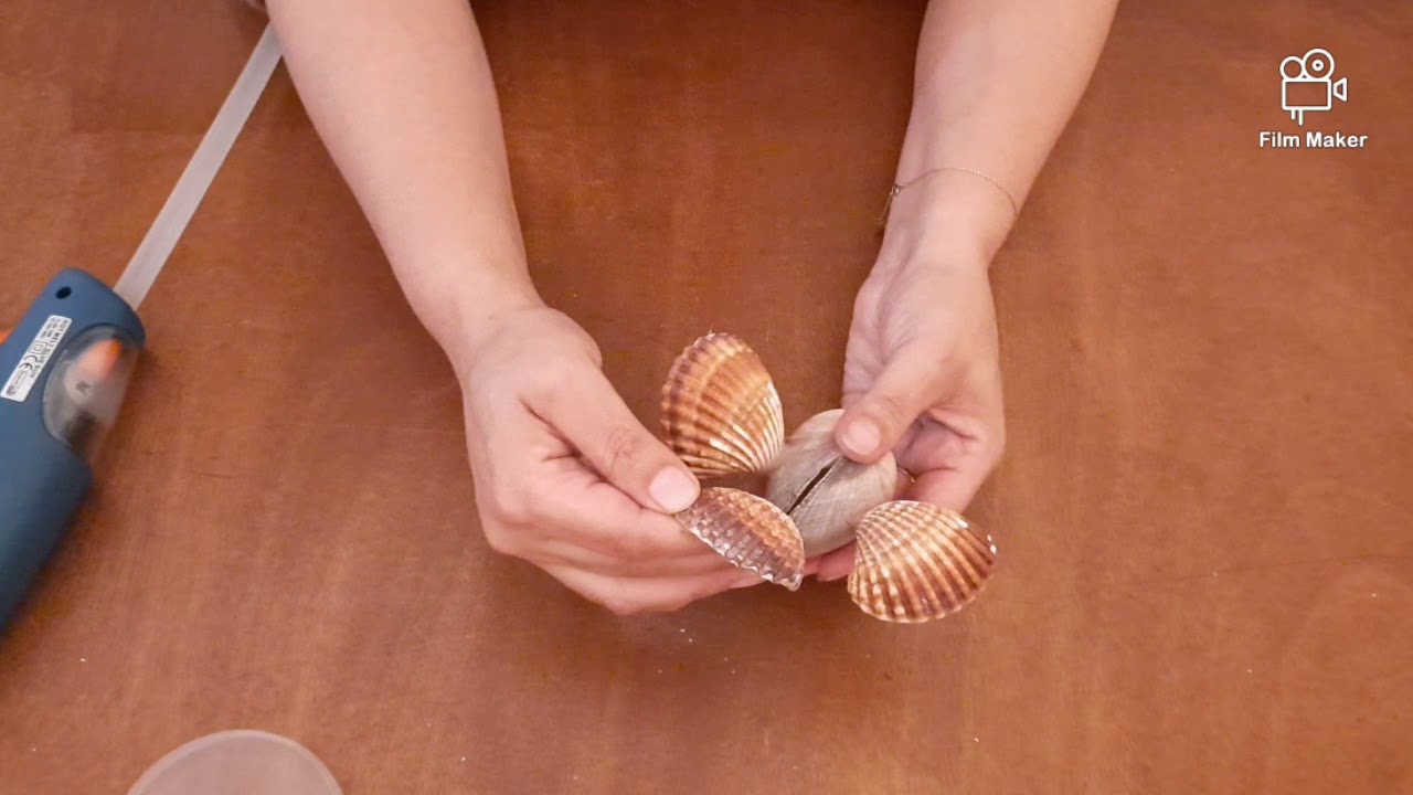 عمل يدوي من صدفات البحر لا يفوتكم 🦀