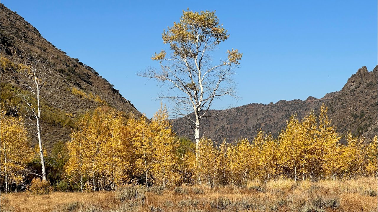 Hiking Big Indian Gorge Steens Mtn.