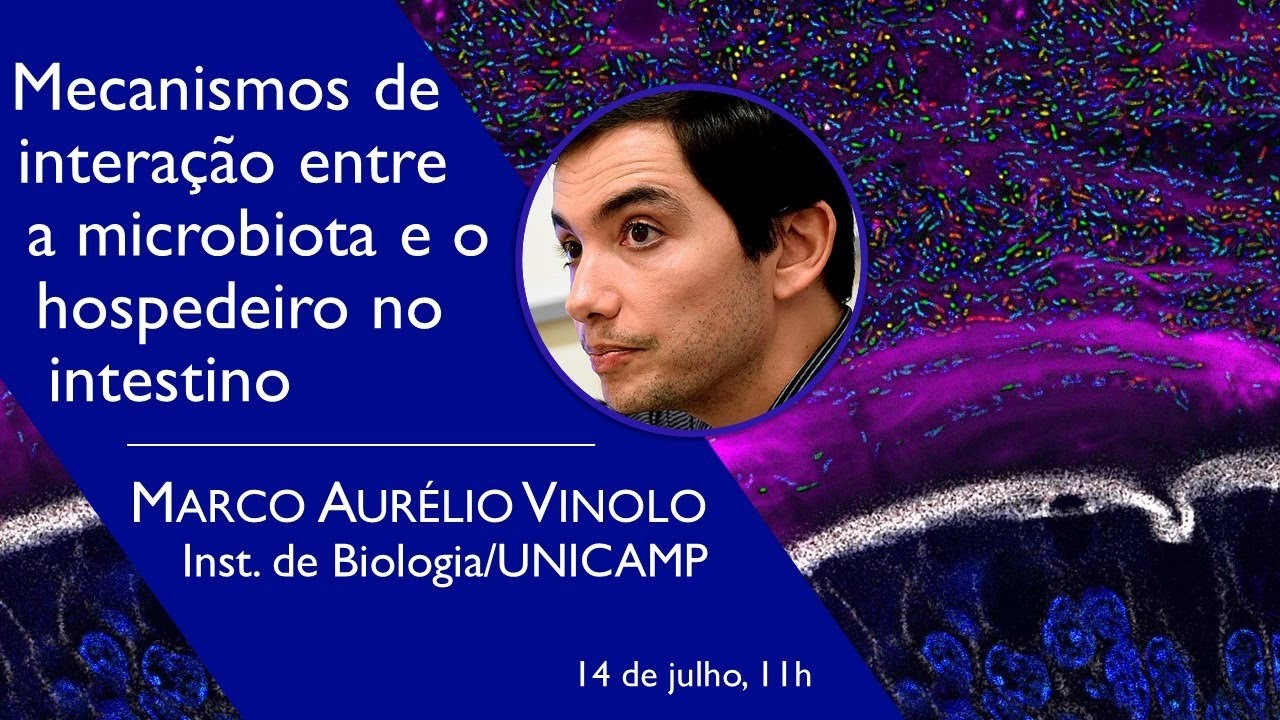 Mecanismos de interação entre a microbiota e o hospedeiro no intestino