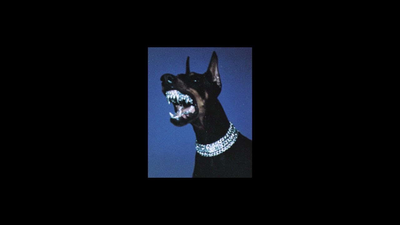 RICHARD MILLE - YOXAN X REYES GAN X ELWA