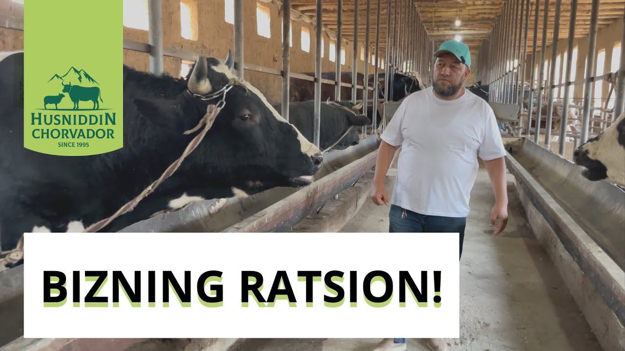 Bizning Ferma va Ratsionimiz xaqida (Ratsion to’g’risida to’liq video tez kunda chiqadi!)