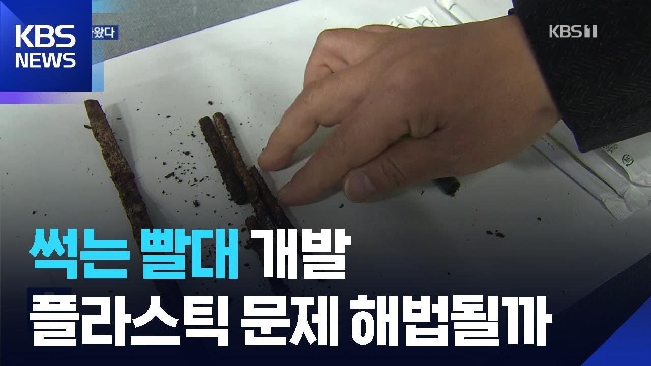 국내 최초 ‘썩는 빨대’ 개발…쓰레기 문제 해결될까 / KBS  2026.02.20.