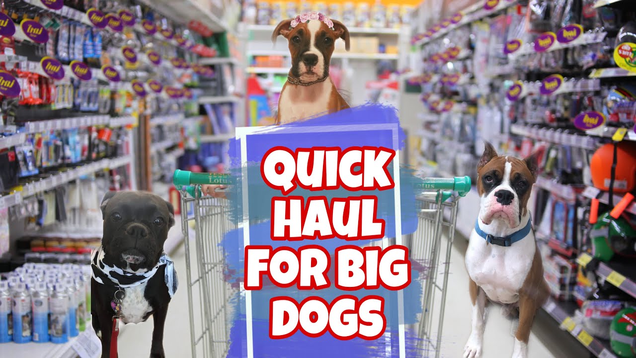 Big dogs and puppy shopping haul | DOG TOYS |Boxer Dogs
