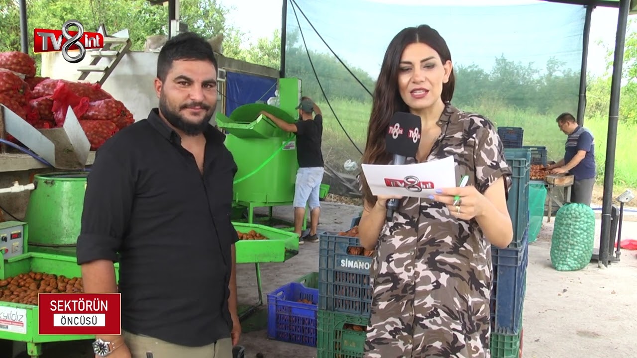 SEKT&Ouml;R&Uuml;N &Ouml;NC&Uuml;S&Uuml; - TV8 İNT - SAKARYA CEVİZCİLİK