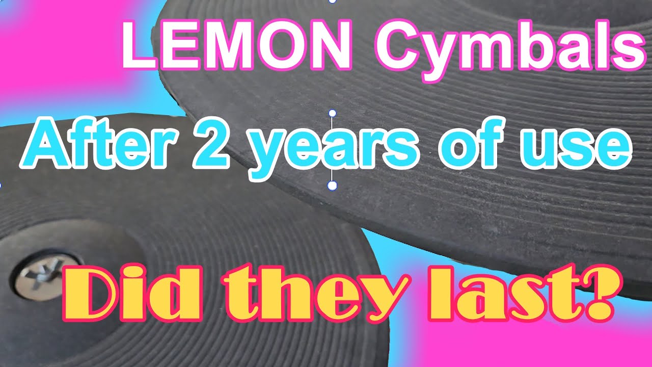 Электронные тарелки Lemon — как они прослужили два года?