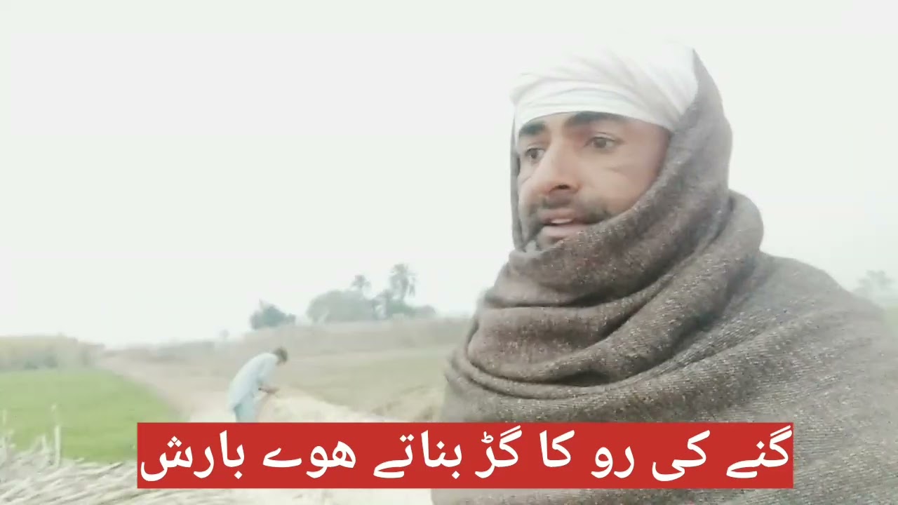 گنے کی رو کا گڑ بناتے ہوئے بارش شروع ہو گئی #punjab #cultur #viral #facebook #trend #shorts