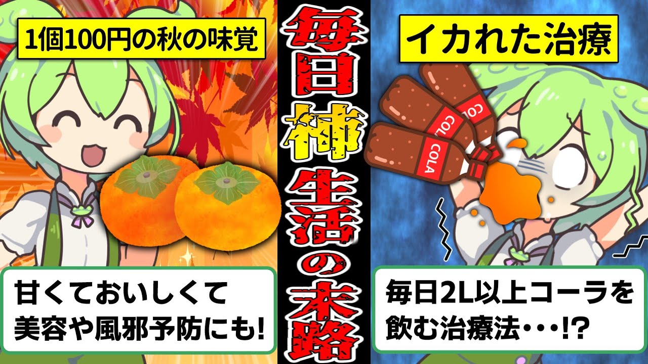【イカれた治療！？】柿を食べすぎて2Lのコーラを飲まされ続けるずんだもんの悲惨な末路【ずんだもん＆ゆっくり解説】