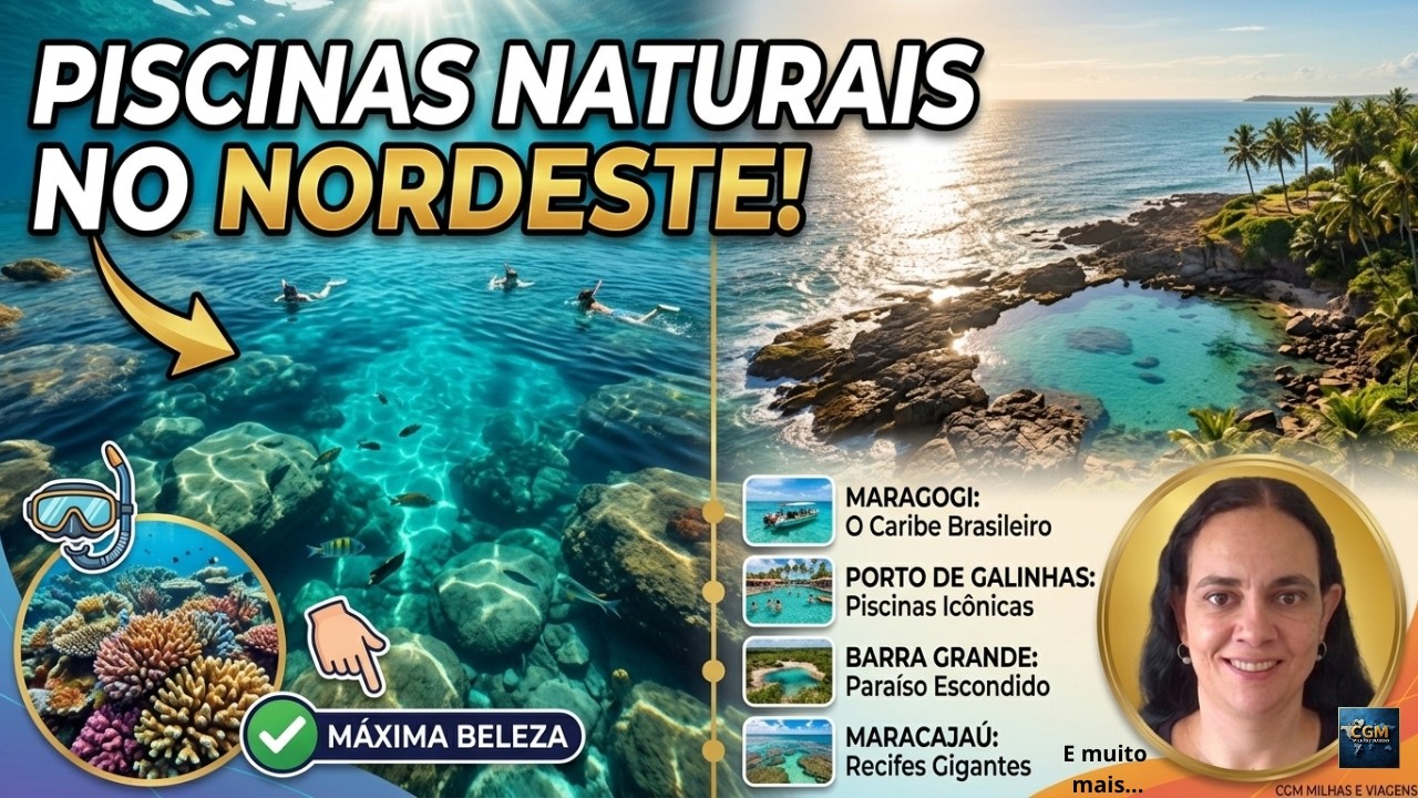 Piscinas Naturais no Nordeste: Guia Completo (Maragogi, Porto de Galinhas e mais!) 🐠