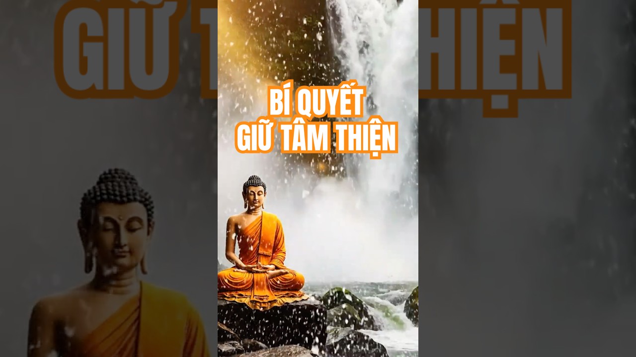 B&iacute; Quyết Giữ T&acirc;m Thiện. #tubi #buddha #ducphatthichca #phatday #meditation