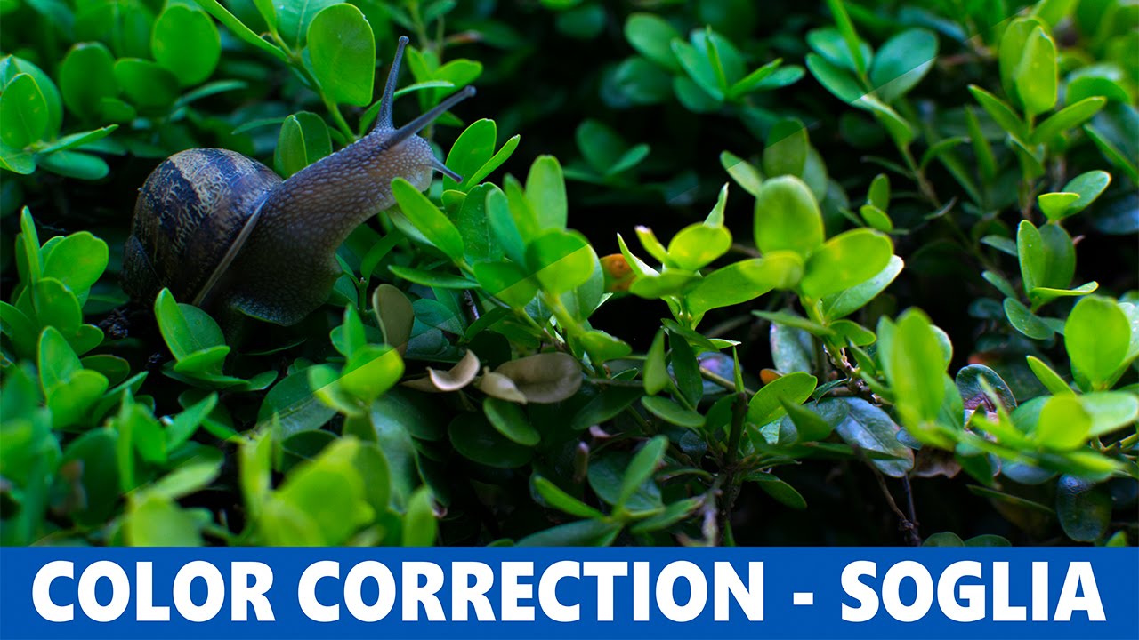 Color correction #3 Soglia - Tutorial Photoshop