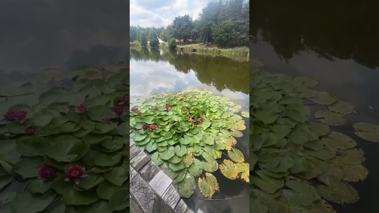 Młynek Tuszyn || Szybki wypad na plażę koło Łodzi.