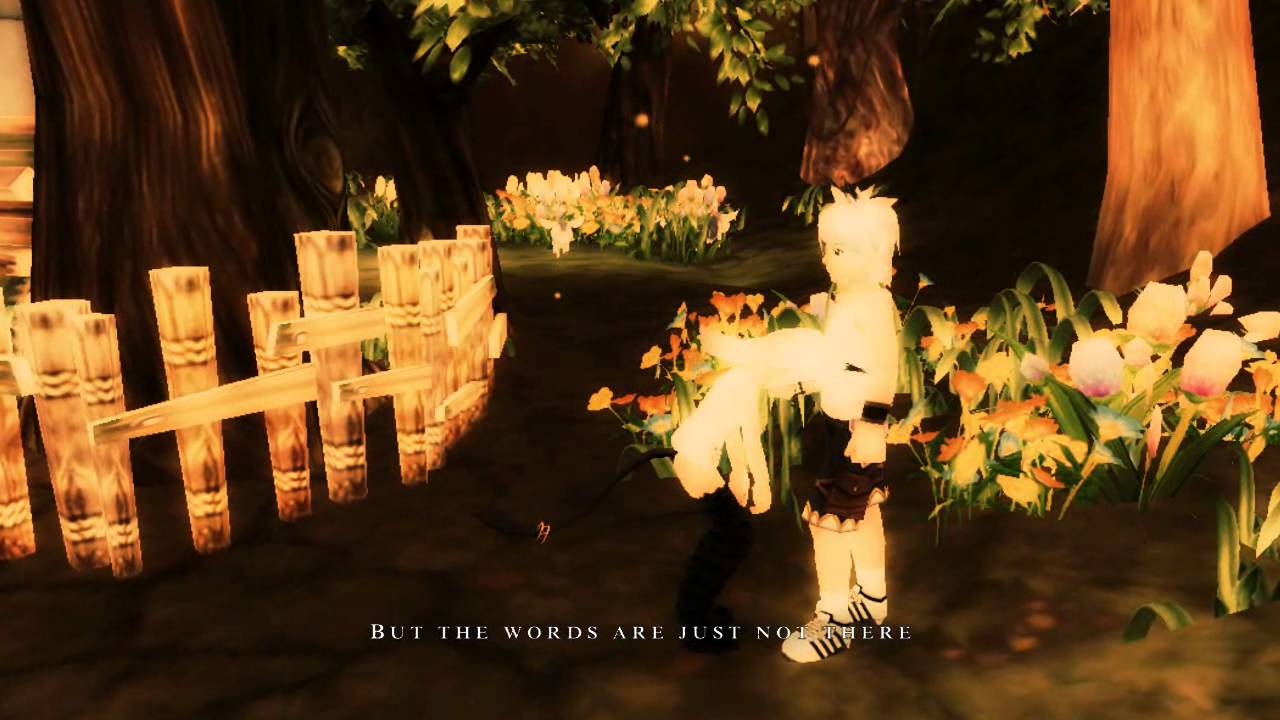 [Dedication] Fiesta Online - In my dreams