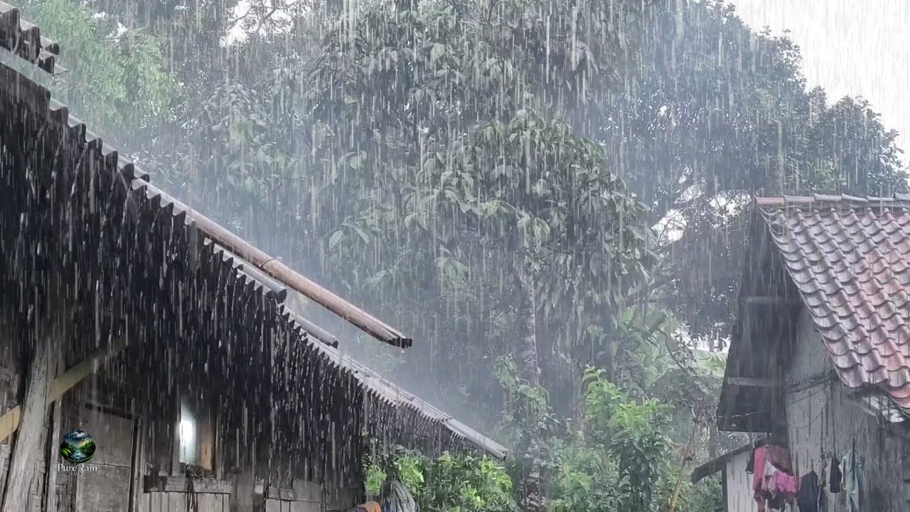 Pure Rain Therapy – Healing Rain Sounds for Relaxation