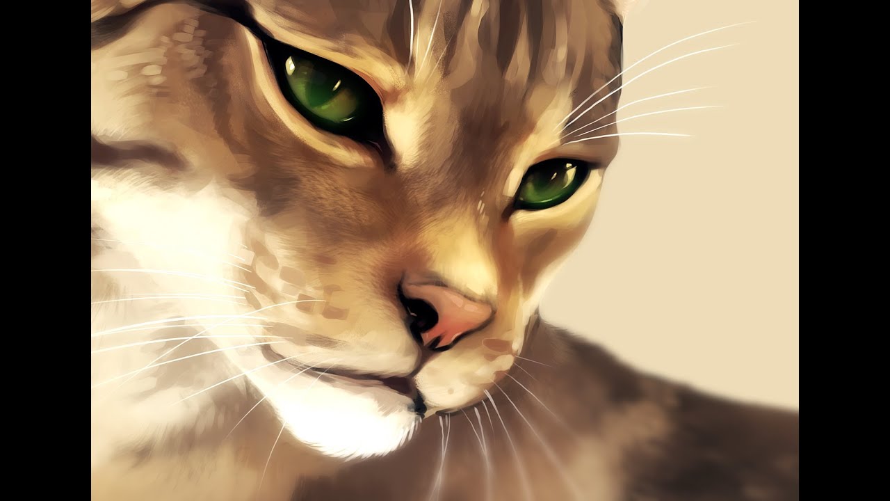 Tabby Cat -  Speed Painting