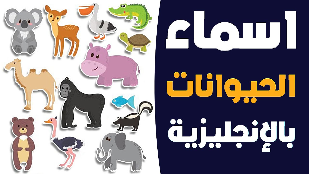 اسماء الحيوانات باللغة الانجليزية animals 🐕