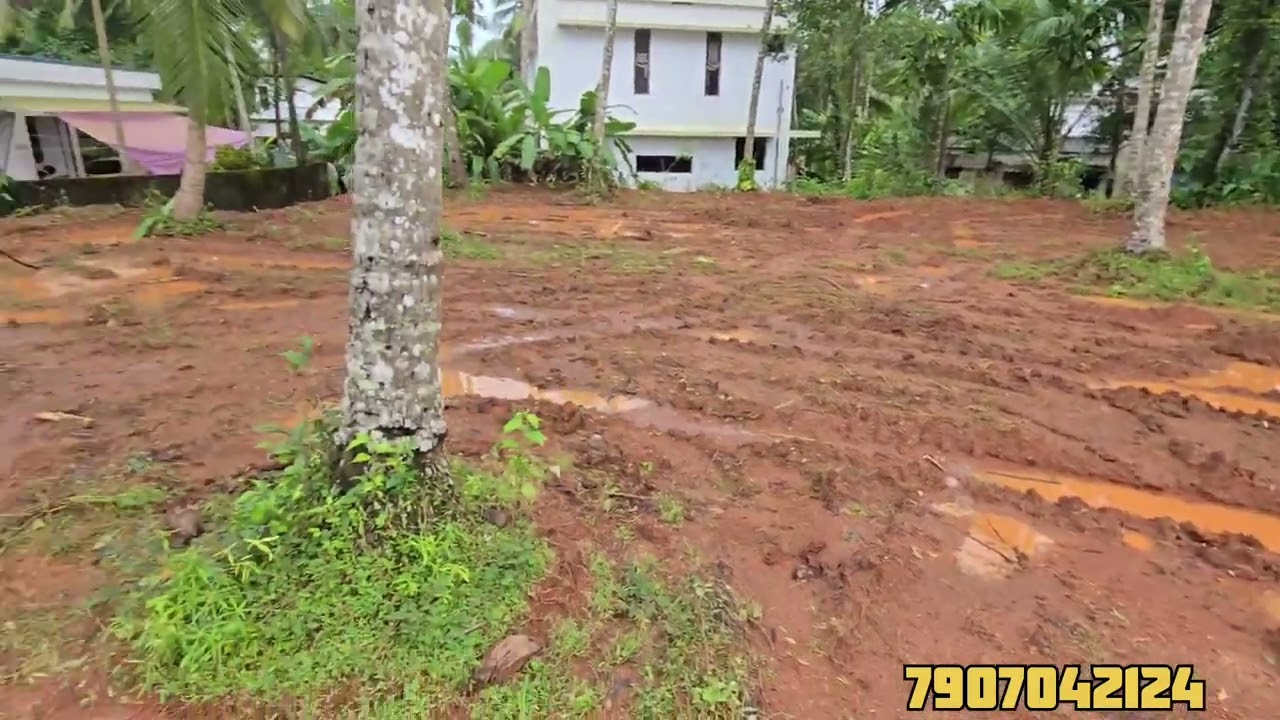 Kozhikode ottathengu 18 cent plot for sale... House plot available #realestate #Kozhikode #chelannur
