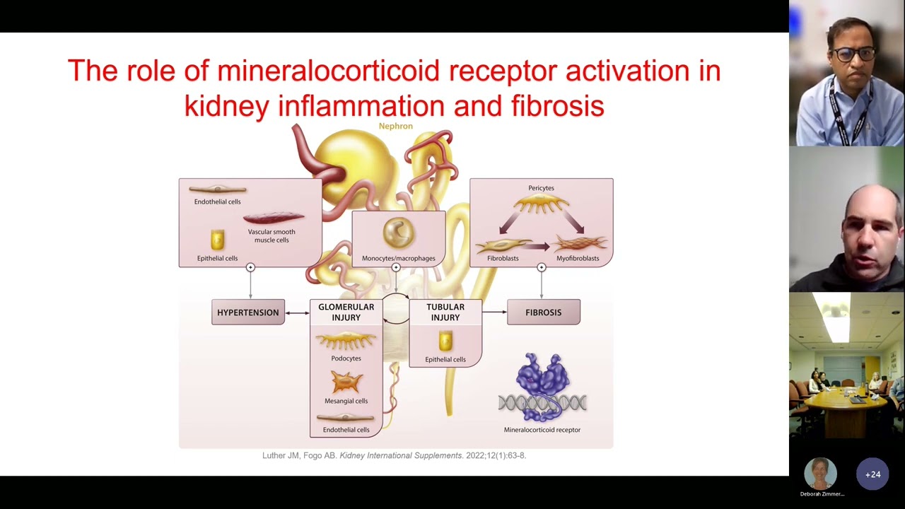 Mineralocorticoid Receptor Antagonism in Proteinuric Kidney Disease with Dr. J. Matt Luther