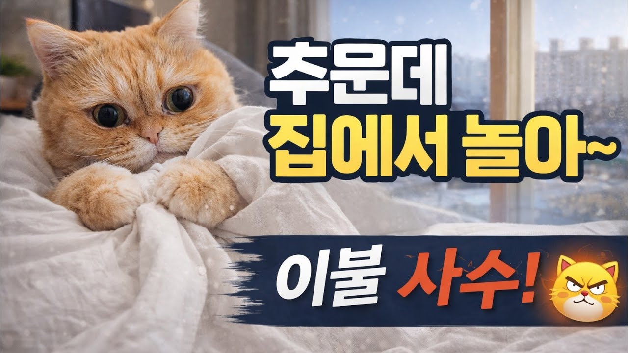 고양이들의 1월 방구석  브이로그