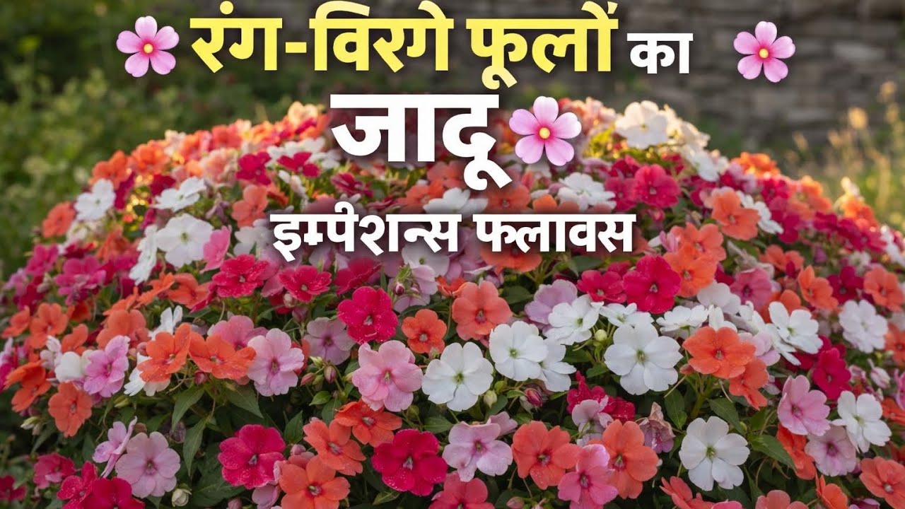 🌼 इतने सुंदर फूल आप भी उगाना चाहेंगे l🌺🌱💚🌹🏵️🌿🪴 Beautiful Garden Flowers/Gardening Tips 💯🍁🌿🍀