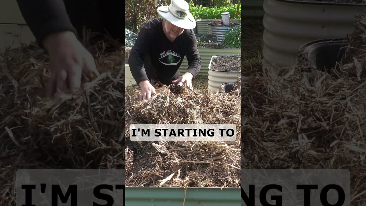 No SOIL NEEDED Garden Bed Fill