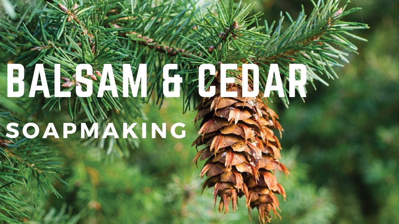 Balsam & Cedar soap making | FuturePrimitive Soap Co.