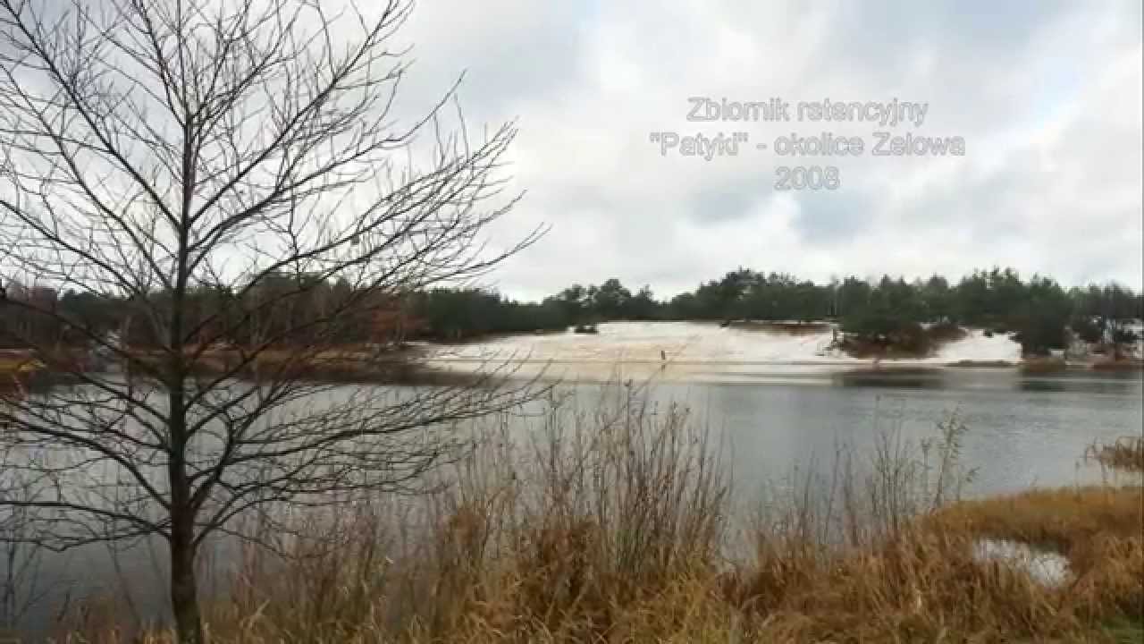 Felicjan Andrzejczak - Zaczaruj mnie - (2006)