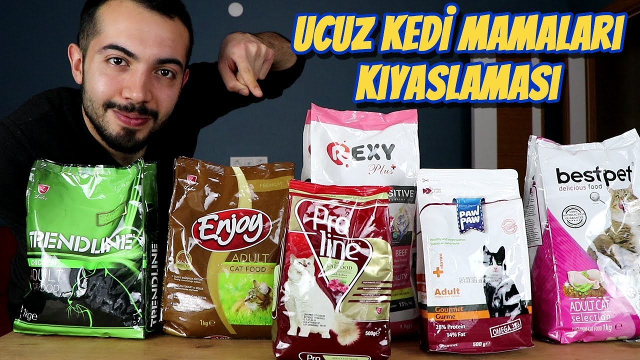 UCUZ KEDİ MAMALARI KIYASLAMASI (Trendline, Proline, PawPaw, Enjoy, Bestpet, Rexy)