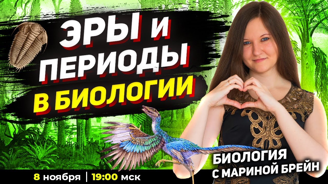 ЭРЫ И ПЕРИОДЫ  В ЕГЭ ПО БИОЛОГИИ 2023 | ГЕОХРОНОЛОГИЧЕСКАЯ ТАБЛИЦА