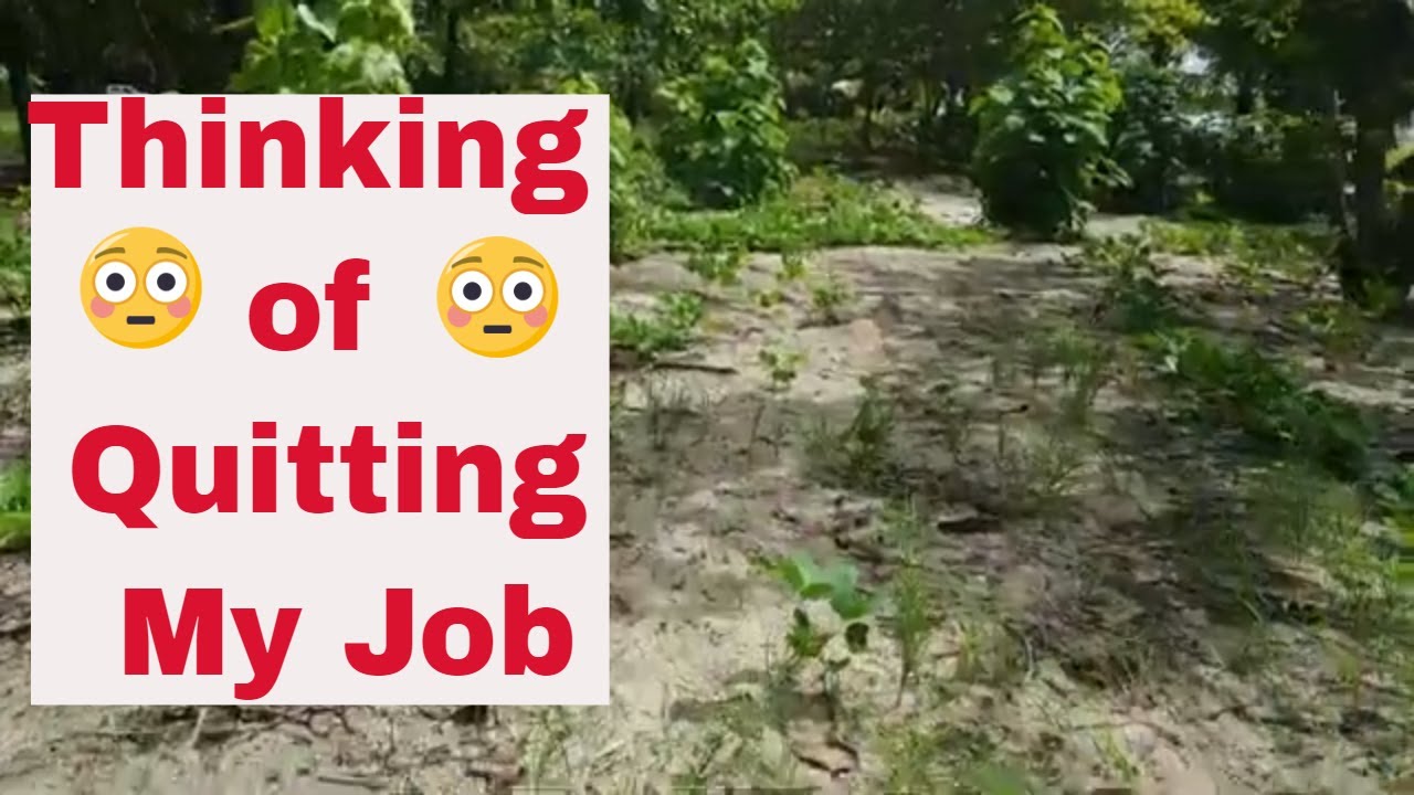 Thinking of quitting my job and I am super scared to do it.
