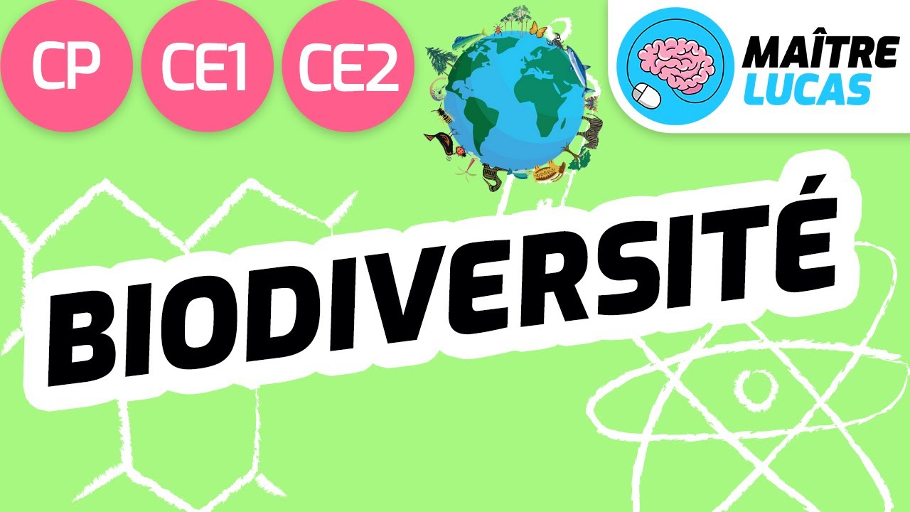 La biodiversit&eacute; CE2 - CE1 - CP - Cycle 2 - Questionner le monde - Le monde du vivant