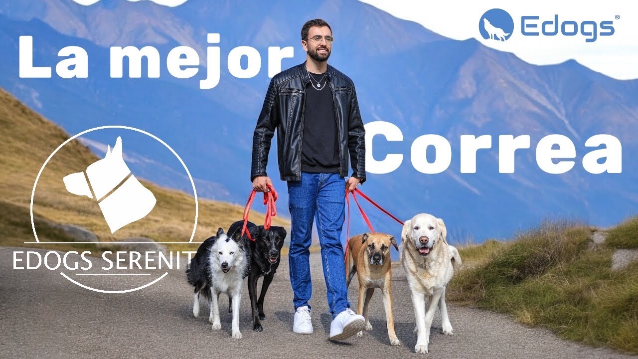 La MEJOR CORREA DEL MERCADO para CONTROLAR A TU PERRO 