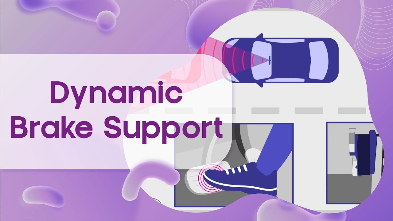 Dynamic Brake Support