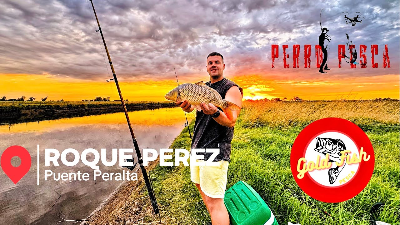 ARROYO LLENO DE VIDA! Saladillo - ROQUE PÉREZ - PUENTE PERALTA  
