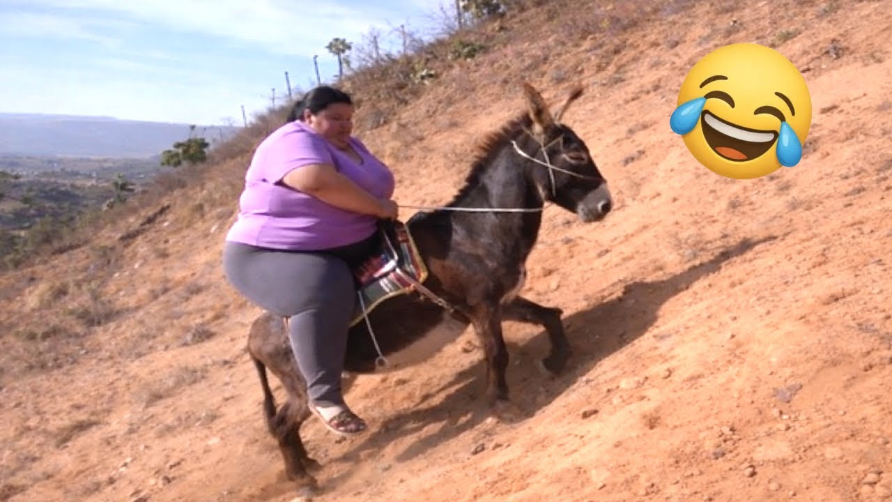 TRY NOT TO LAUGH 😂 Funniest Memes That Will Make You Cry 😆 Part 7
