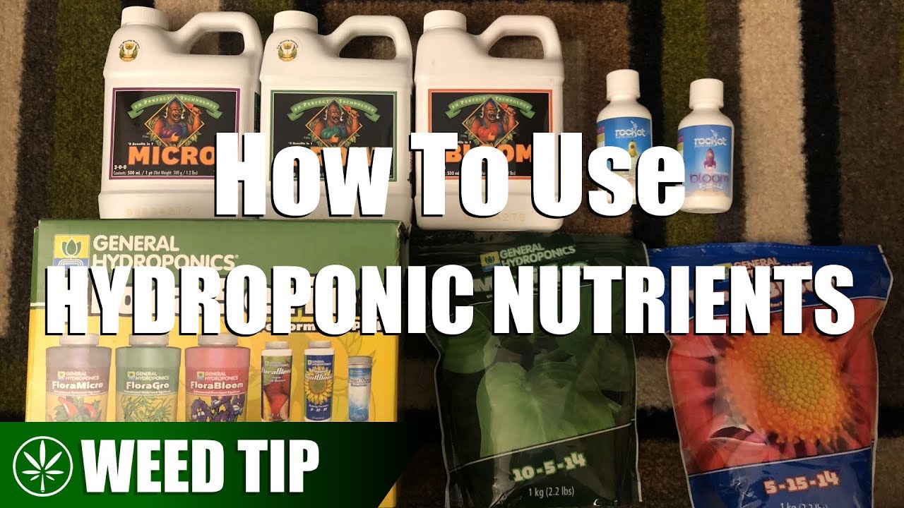 Как использовать различные гидропонные удобрения для обогащения воды питательными веществами