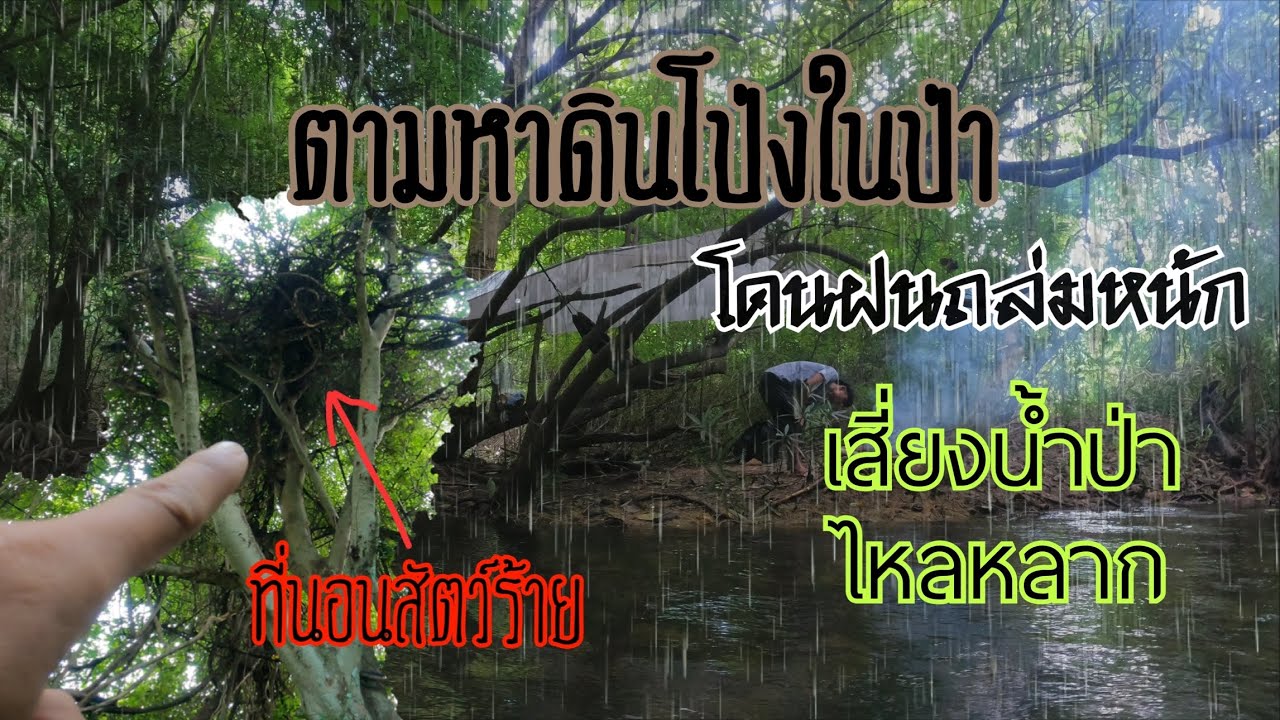 ตามหาดินโป่งในป่า เจอฝนถล่มหนักเสี่ยงน้ำป่าไหลหลาก เกือบต้องย้ายที่นอน