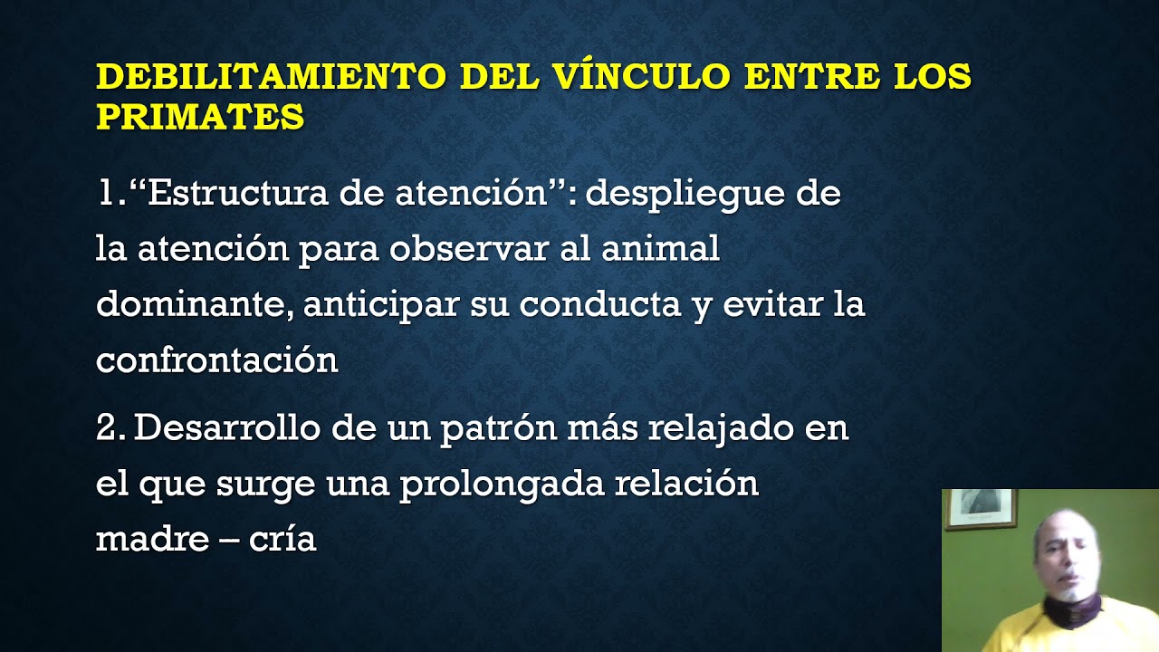 Bruner: La inmadurez