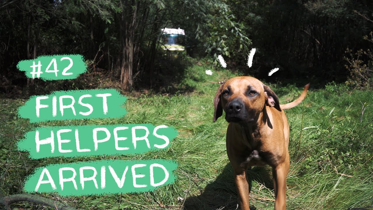 #42 FIRST HELPERS arrived on the land - preparing for more