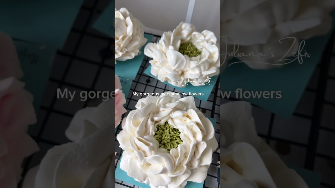 Marshmallow  peonies, hydrangeas and Zefir snowballs , poinsettia Christmas flowers