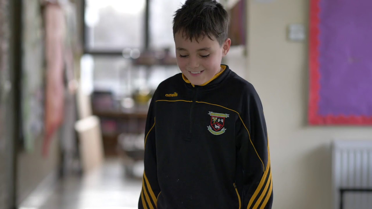 St. Damian's NS, Dublin. Erasmus STEAM Embassies Project