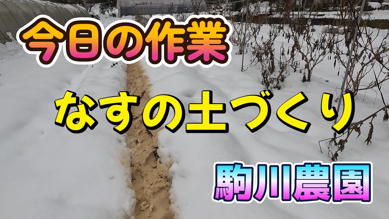 今日の作業　なすの土づくり　駒川農園　26.1.24