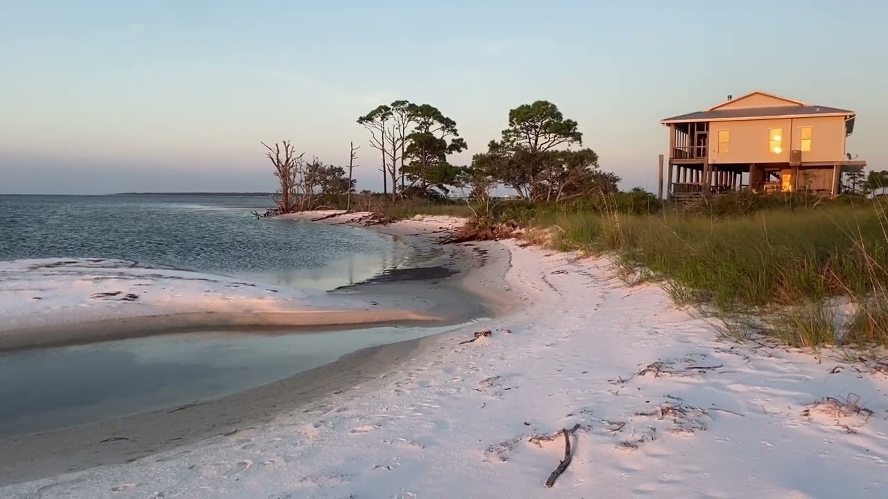 Dog Island II