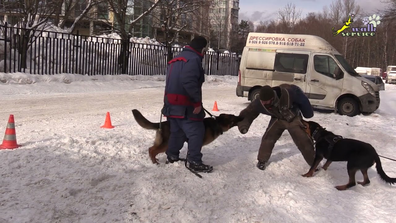 Тригер 48, два фигуранта