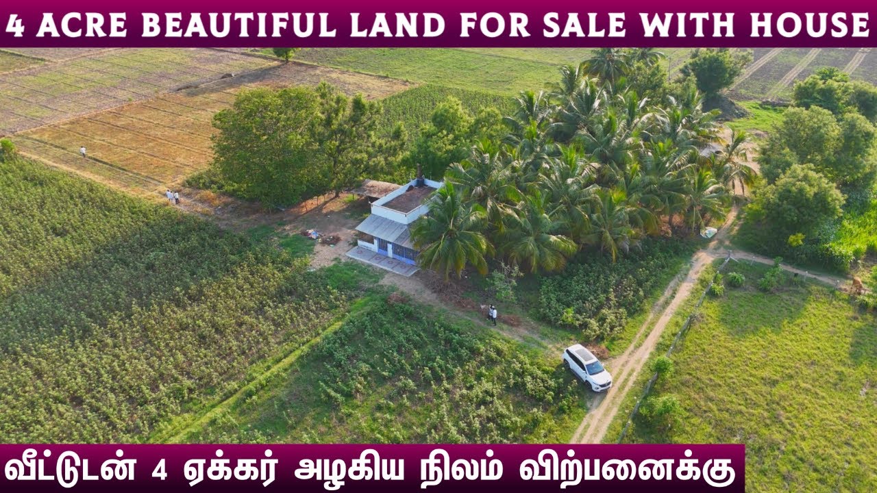 🏡வீட்டுடன் 4 ஏக்கர் அழகிய நிலம் விற்பனைக்கு🌴4 ACRE FOR SALE#property #realestate #oddanchatram #land