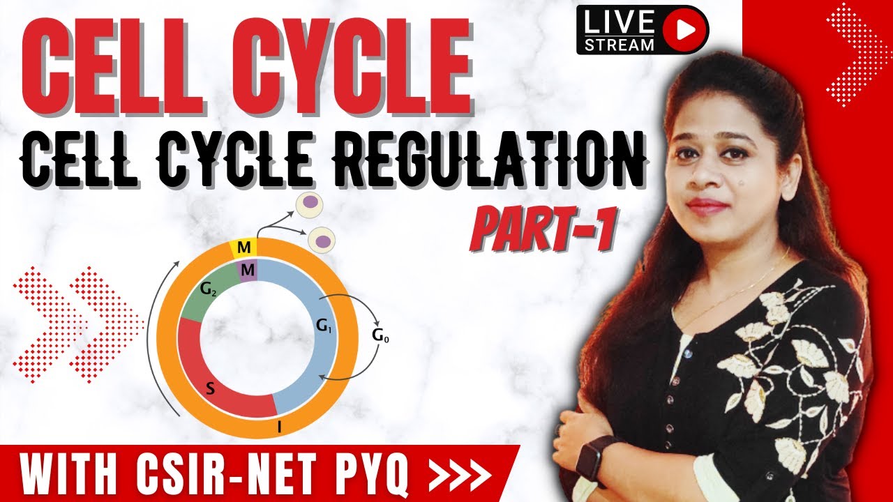 Cell Cycle 1 | Progression of Cell Cycle | Cell Cycle Regulation | Cell Cycle CSIR NET PYQ