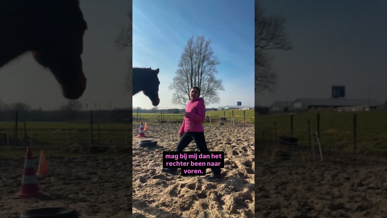 Sporten met Sara | Opstaptraining Kracht